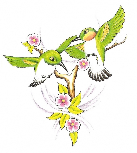 Card image cap